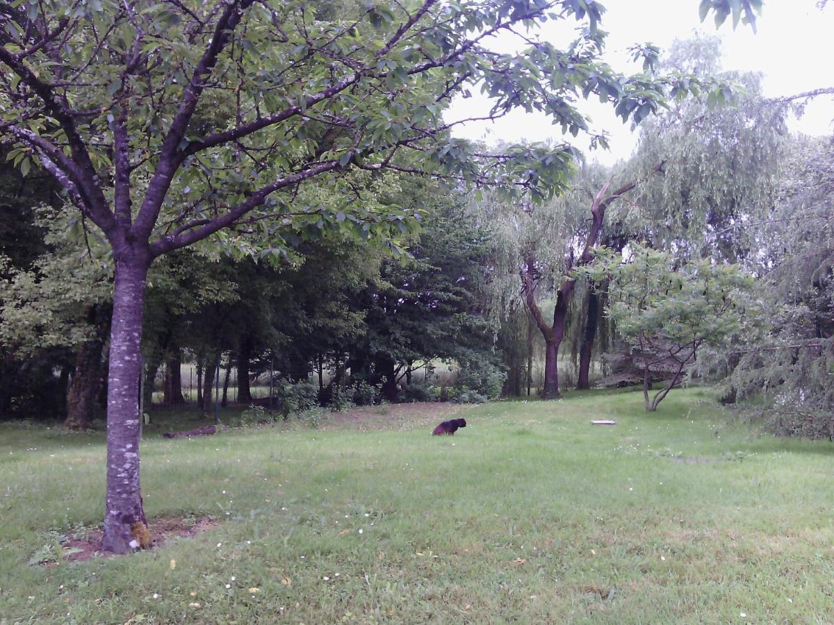Chambre Independante Dans Un Parc Saint-Roch Екстериор снимка